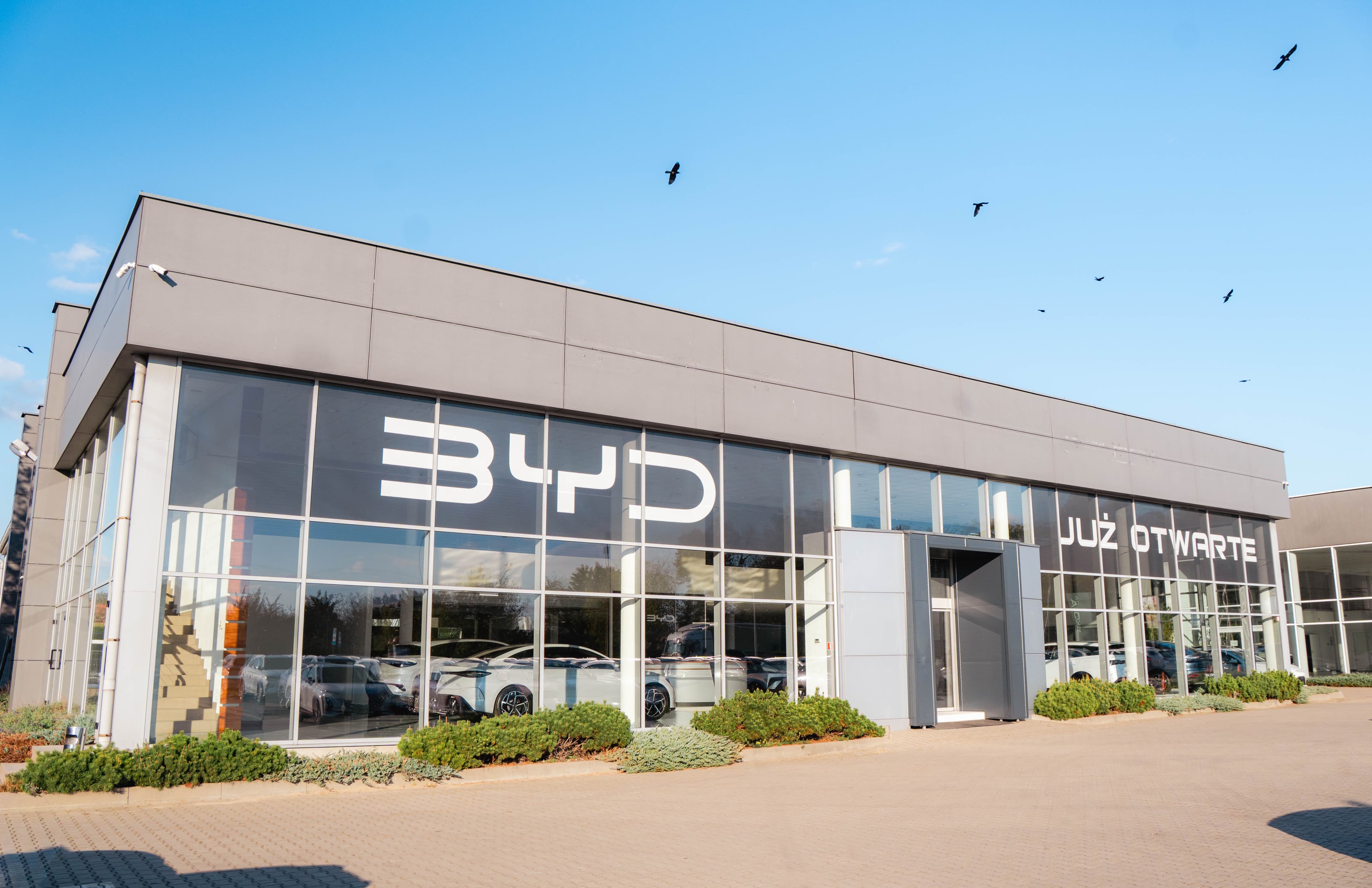 Samochód elektryczny - kompletny poradnik dla początkujących