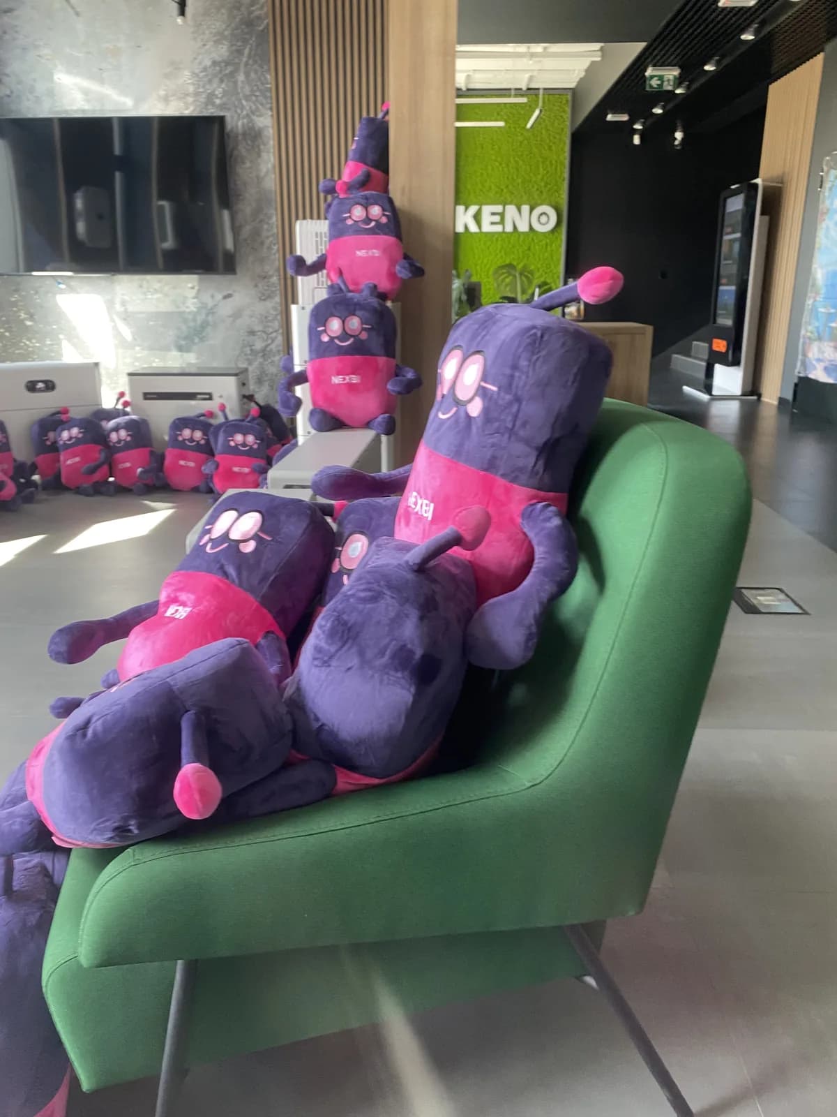 Maskotki NEXBI na zielonej sofie w showroomie NEXBE
